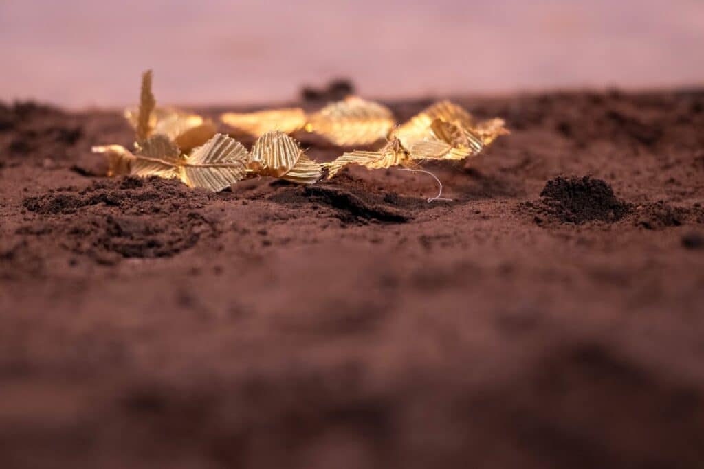 close up of gold leaf crown on earth at Warwick Ancient Drama Festival performance of Aeschylus' The Persians